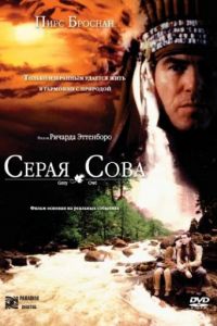 Серая сова